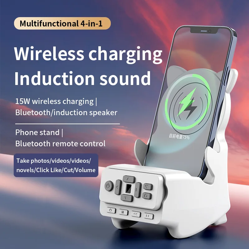 Caricatore wireless